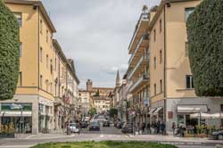arezzo